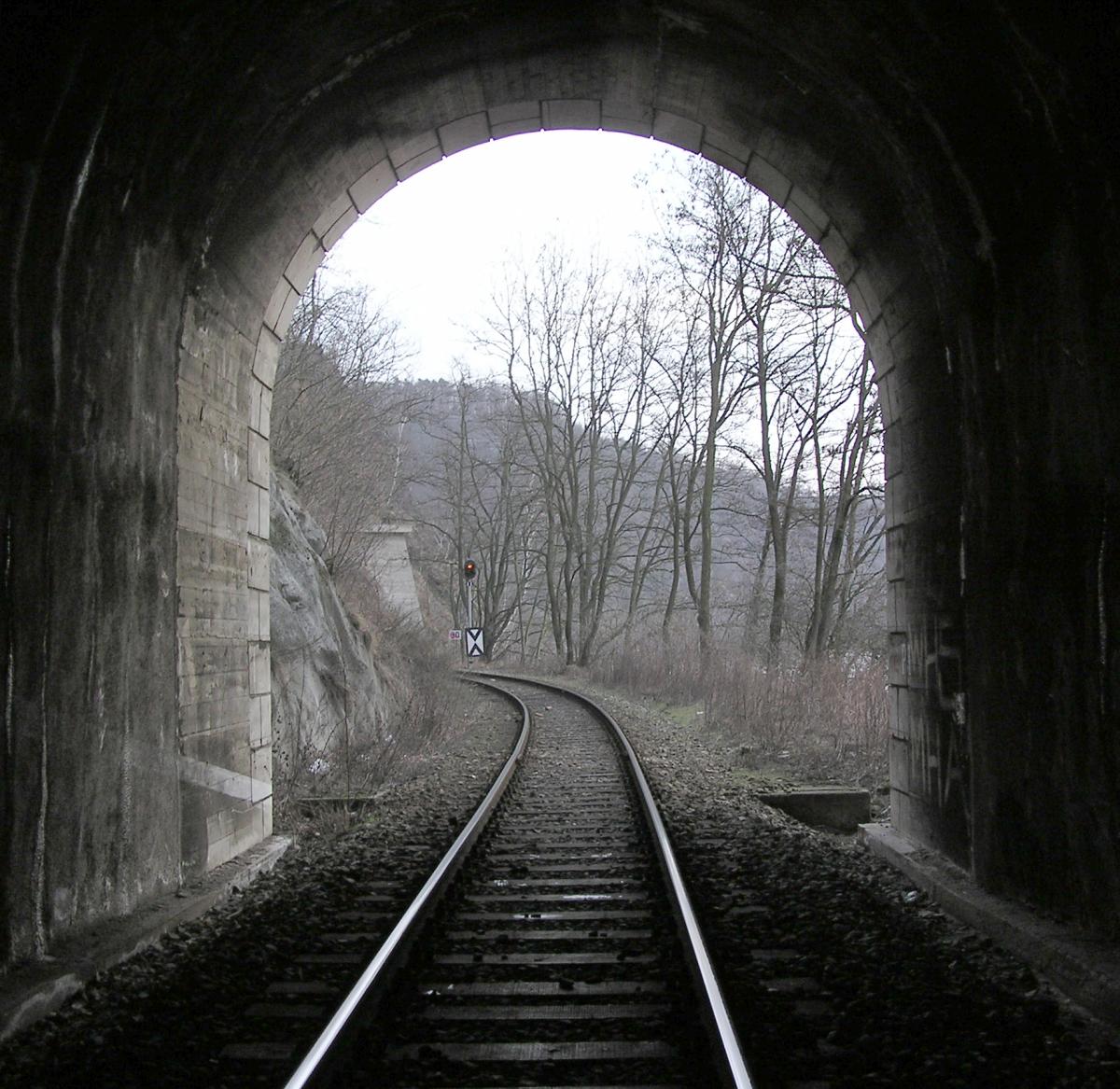 Tunely Davle - foto 44